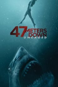 فيلم 47 Meters Down: Uncaged 2019 مترجم