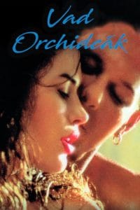 فيلم Wild Orchid 1989 مترجم
