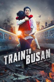فيلم Train to Busan 2016 مترجم