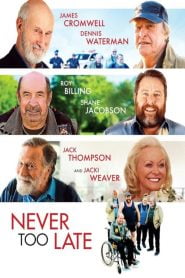 فيلم Never Too Late 2020 مترجم