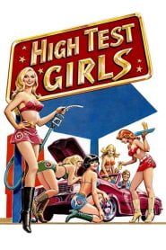 فيلم Six Swedish Girls at a Pump 1980 اون لاين للكبار فقط +18