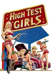فيلم Six Swedish Girls at a Pump 1980 اون لاين للكبار فقط +18