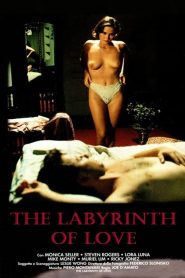 فيلم Il labirinto dei sensi 1994 اون لاين للكبار فقط +18