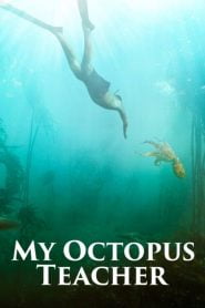 فيلم My Octopus Teacher 2020 مترجم