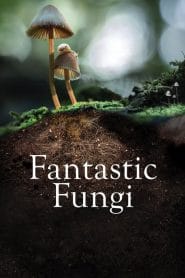 فيلم Fantastic Fungi 2019 مترجم