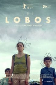 فيلم The Wolves 2019 مترجم
