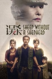 فيلم Sheep Without a Shepherd 2019 مترجم