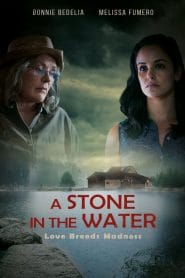 فيلم A Stone in the Water 2019 مترجم