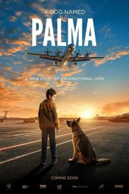 فيلم Palma 2021 مترجم اون لاين