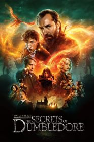 فيلم Fantastic Beasts: The Secrets of Dumbledore 2022 مترجم اون لاين