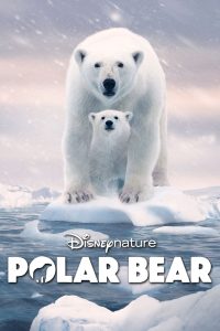 فيلم Polar Bear 2022 مترجم اون لاين