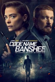 فيلم Code Name Banshee 2022 مترجم اون لاين