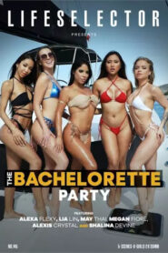 فيلم The Bachelorette Party 2024 اون لاين للكبار فقط