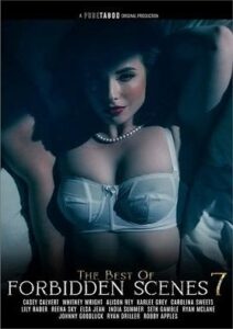 فيلم The Best of Forbidden Scenes 7 2024 اون لاين للكبار فقط