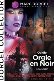 فيلم Orgy in Black 2000 اون لاين للكبار فقط