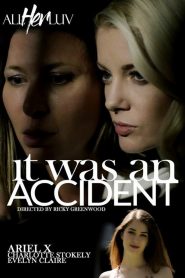 فيلم It Was An Accident 2022 اون لاين للكبار فقط