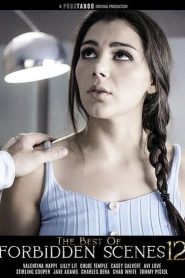 فيلم The Best Of Forbidden Scenes 12 2025 اون لاين للكبار فقط
