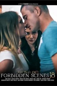 فيلم The Best of Forbidden Scenes 18 2025 اون لاين للكبار فقط