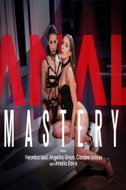 فيلم Anal Mastery 2025 اون لاين للكبار فقط