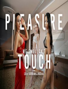 فيلم Pleasure We Shouldn’t Touch 2025 اون لاين للكبار فقط