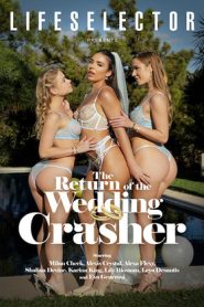 فيلم The Return of the Wedding Crasher 2026 اون لاين للكبار فقط
