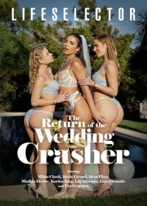 فيلم The Return of the Wedding Crasher 2026 اون لاين للكبار فقط