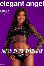 فيلم Young Black Starlets 5 2026 اون لاين للكبار فقط