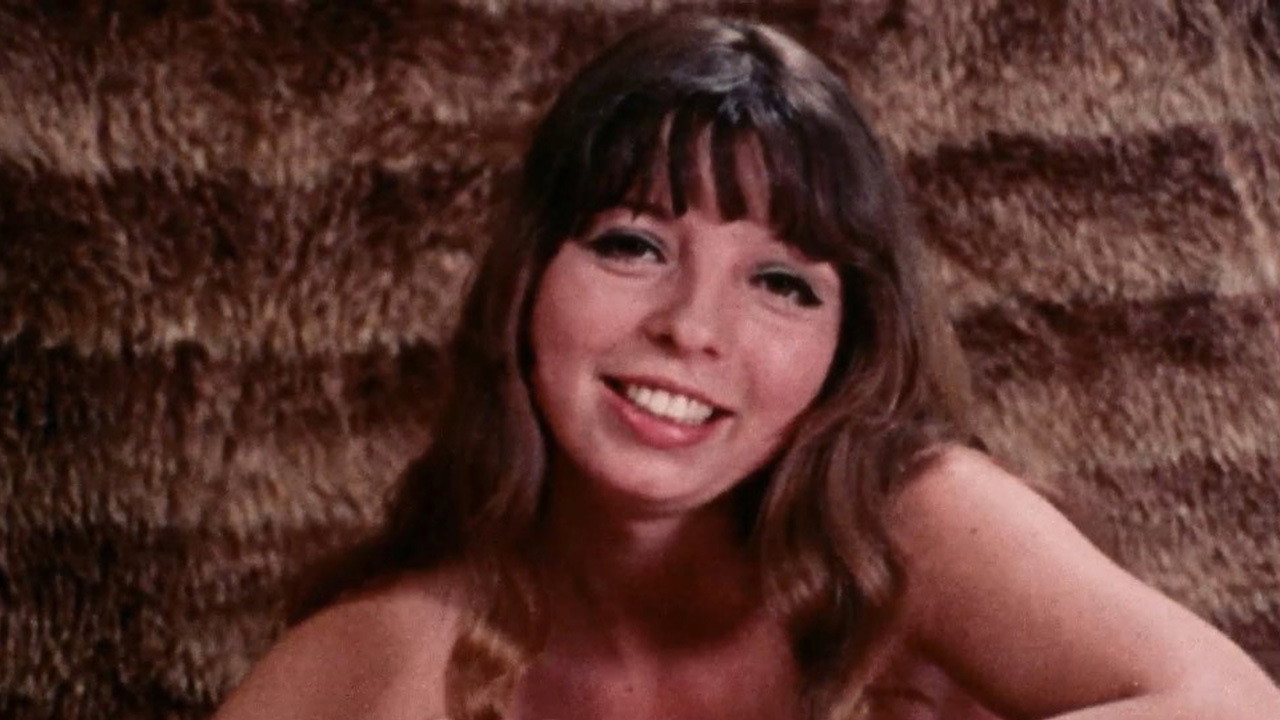 فيلم Teen-age Fantasies: An Adult Documentary 1971 اون لاين للكبار فقط