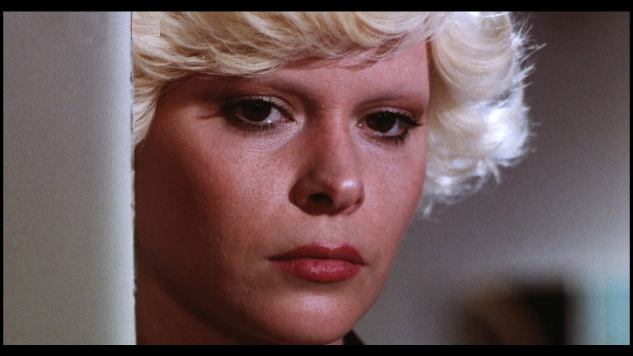 فيلم Die Teuflischen Schwestern 1977 اون لاين للكبار فقط