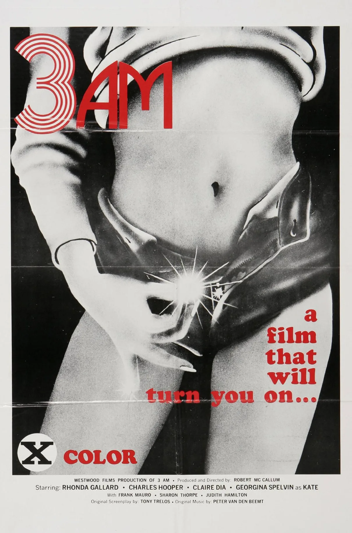 فيلم 3 AM 1975 اون لاين للكبار فقط 30 1975