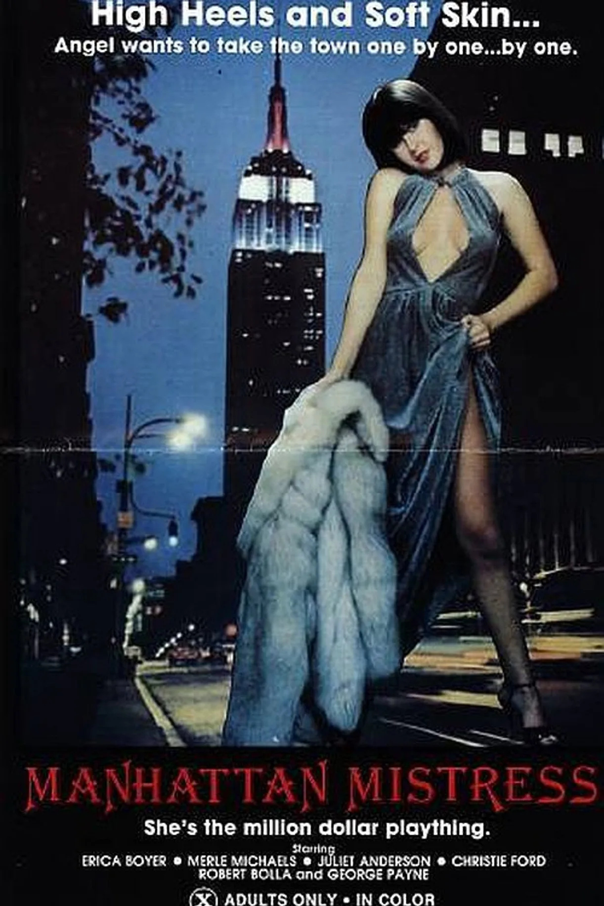 فيلم Manhattan Mistress 1981 اون لاين للكبار فقط 1981