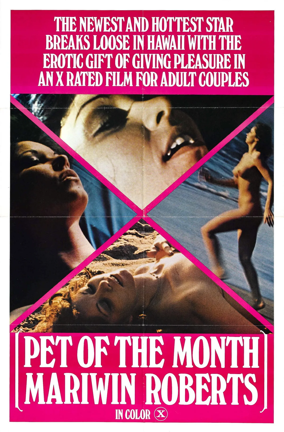 فيلم Pet of the Month Mariwin Roberts 1978 اون لاين للكبار فقط 1978