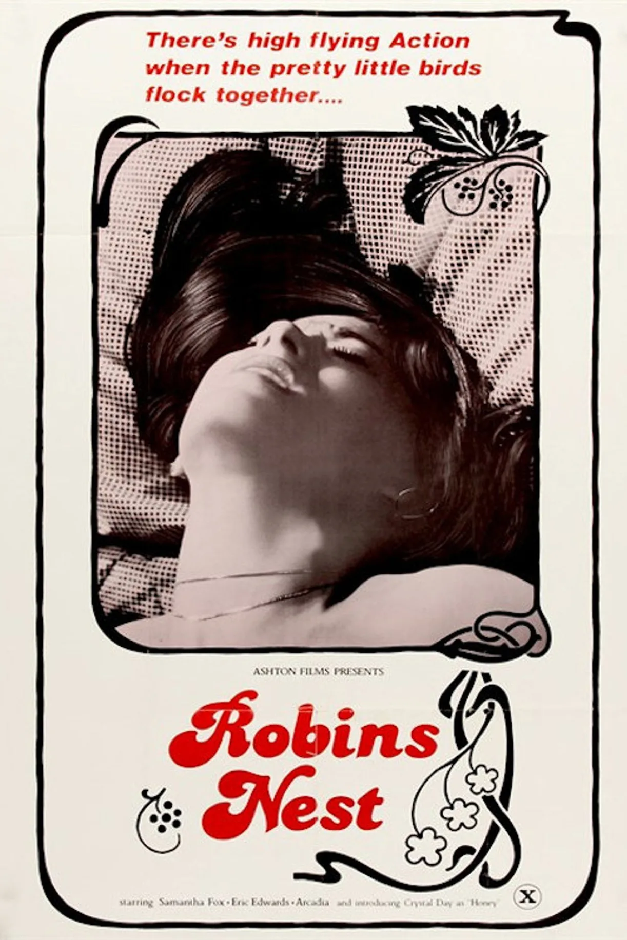 فيلم Robin’s Nest 1980 اون لاين للكبار فقط 1980