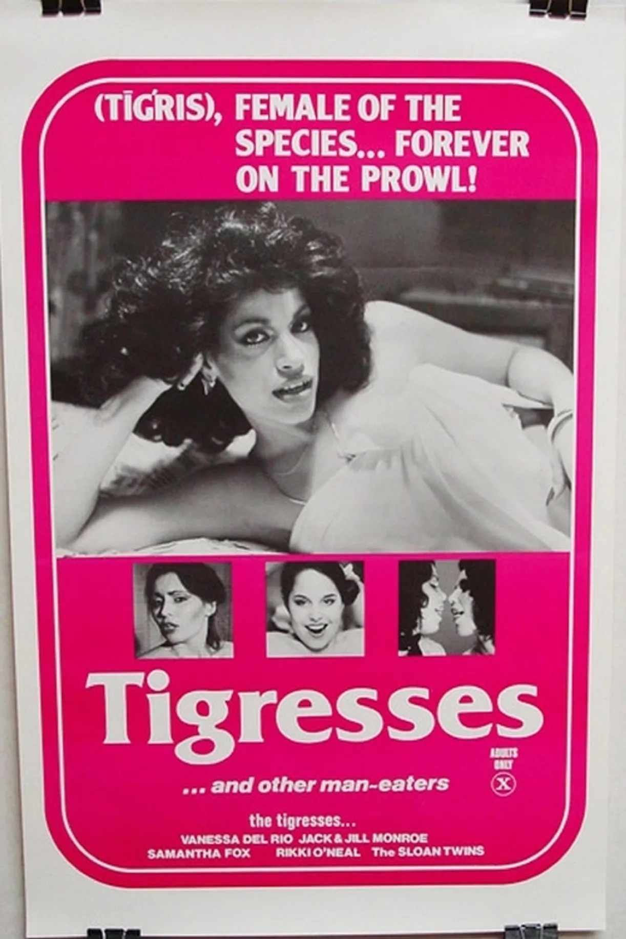 فيلم Tigresses and Other Man-eaters 1979 اون لاين للكبار فقط 1979